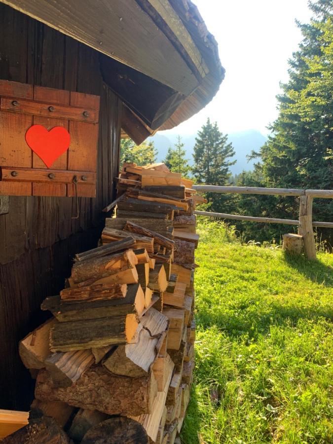 Velika Planina - Chalet Stane - Alps Stahovica Exterior photo